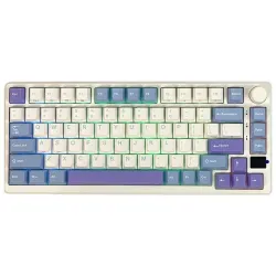 Royal Kludge RK M75 RGB Tri-Mode Hot-Swappable Mechanical Keyboard